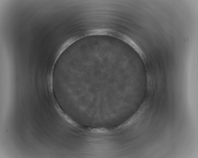 X0000112040994200908171507