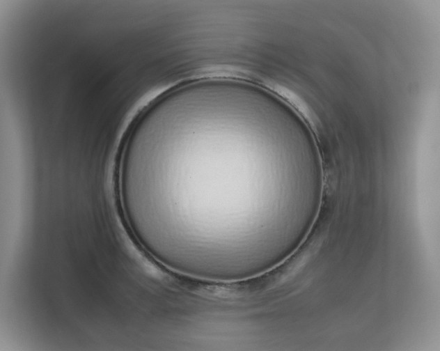 X0000112040995200908171507