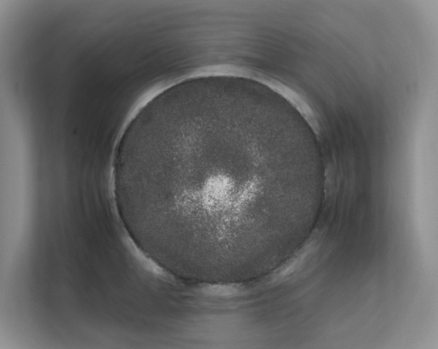 X0000112040998200908171507