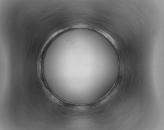 X0000112041000200908171507