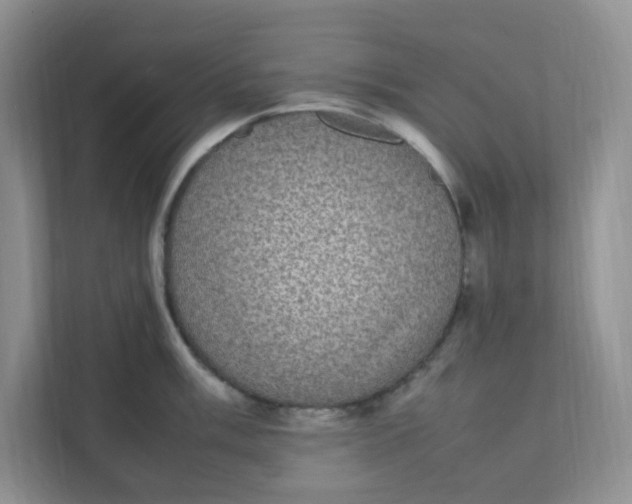 X0000112041003200908171507