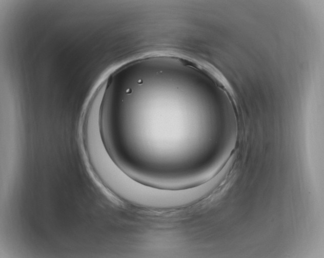 X0000112041005200908171507