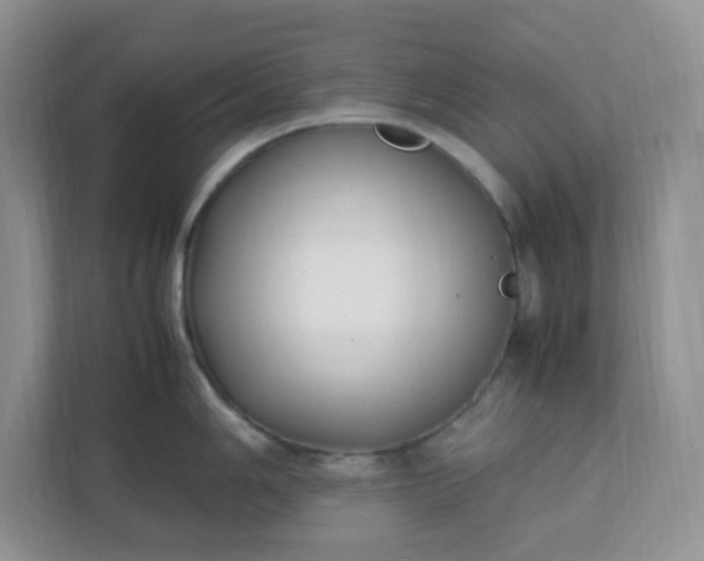 X0000112041006200908171507