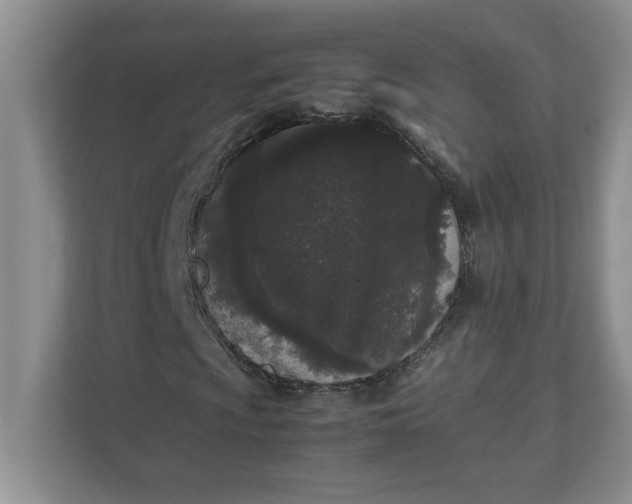 X0000112041009200908171506