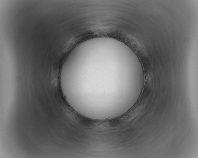 X0000112041012200908171506