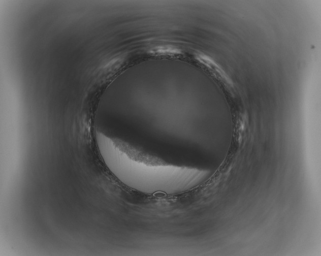 X0000112041013200908171506