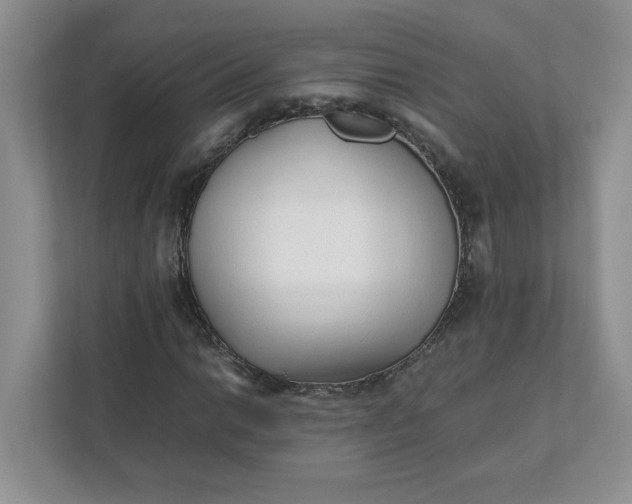 X0000112041014200908171506