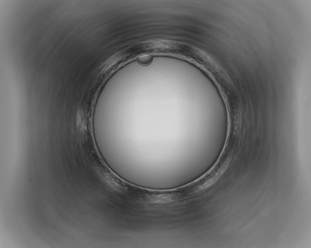 X0000112041017200908171506