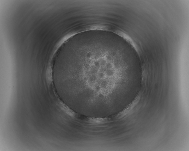 X0000112041019200908171506