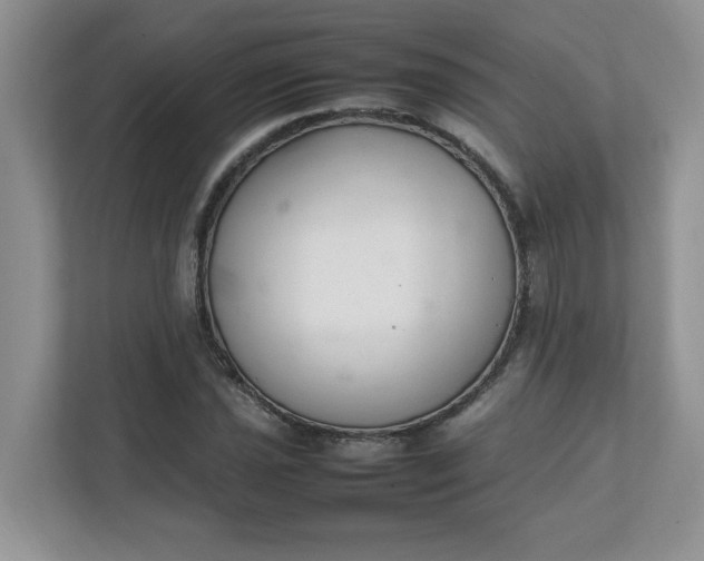X0000112041021200908171507