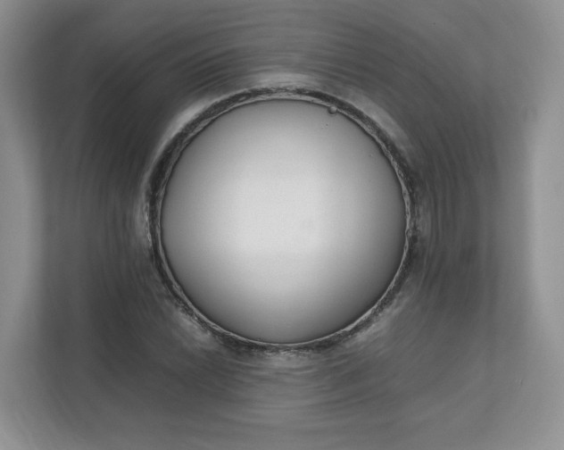 X0000112041022200908171507