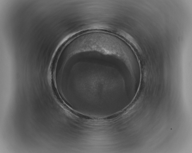 X0000112041024200908171507