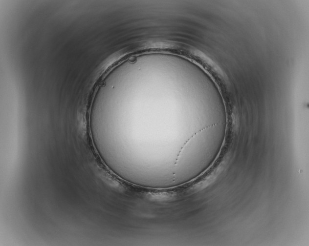 X0000112041025200908171507