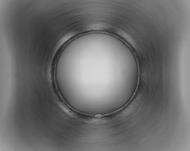 X0000112041026200908171507