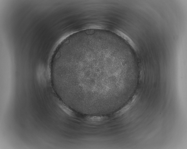 X0000112041027200908171507