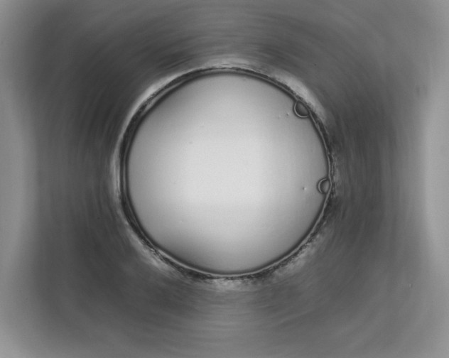 X0000112041032200908171507