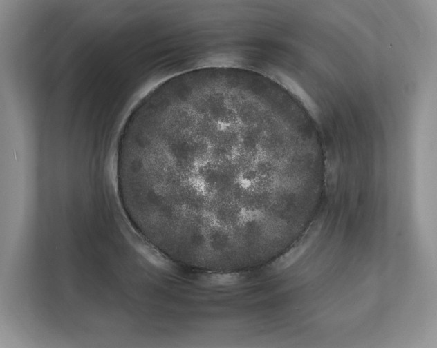 X0000112041035200908171507