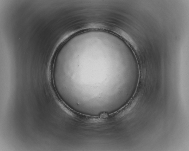 X0000112041037200908171507