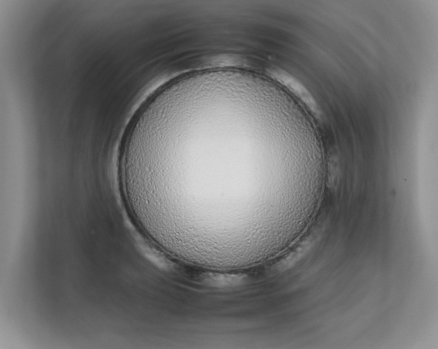 X0000112041039200908171507