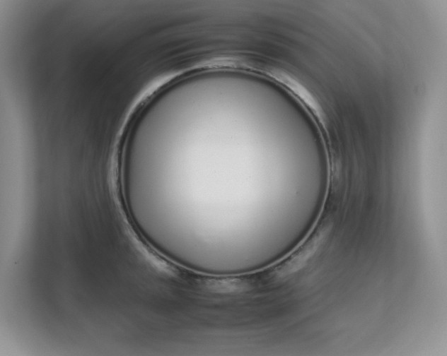 X0000112041045200908171507