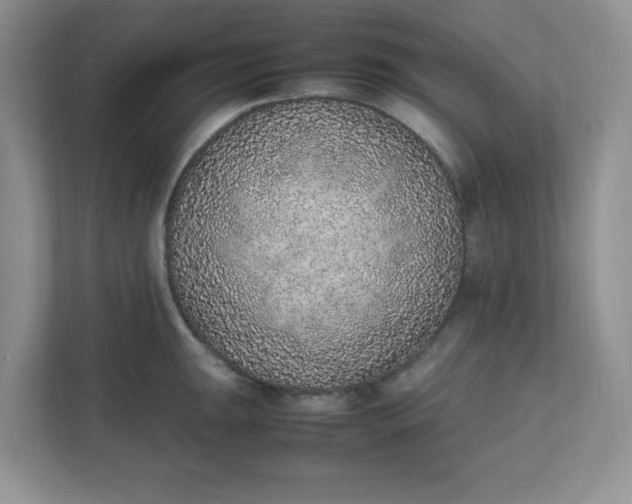X0000112041047200908171507
