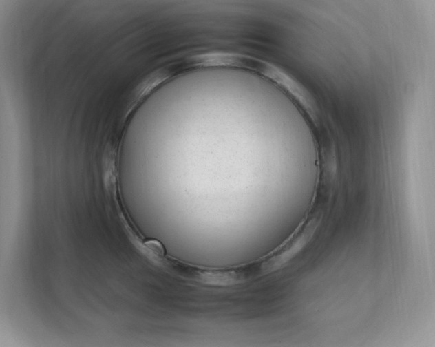 X0000112041049200908171507