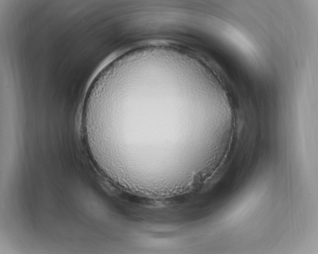 X0000112041052200908171507