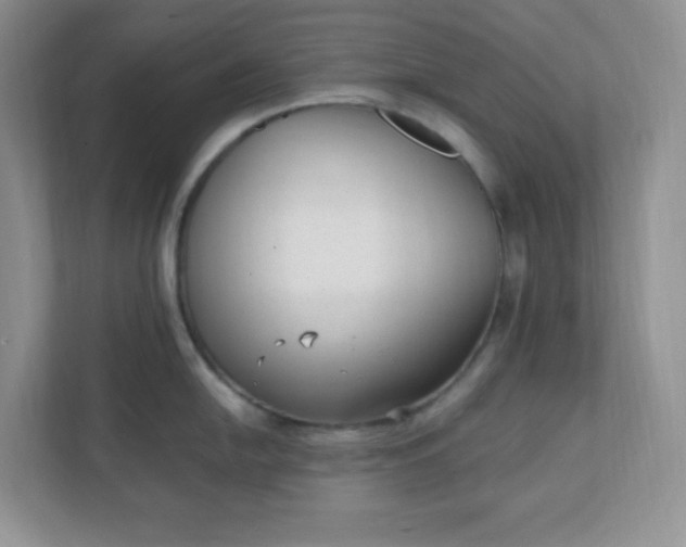 X0000112041054200908171507