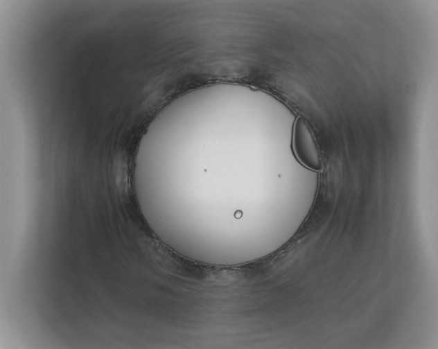 X0000112041058200908171506