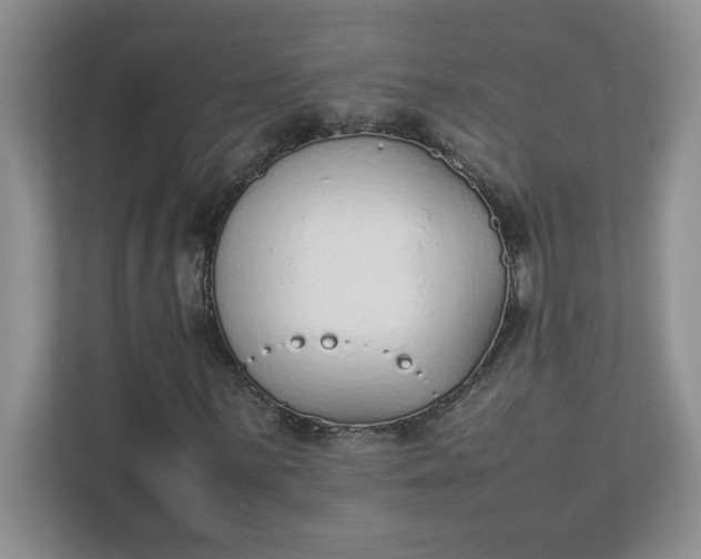 X0000112041059200908171506