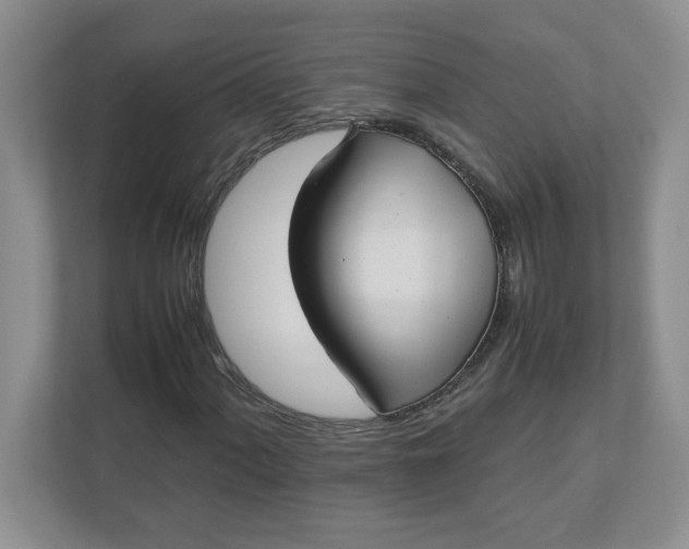 X0000112041060200908171506