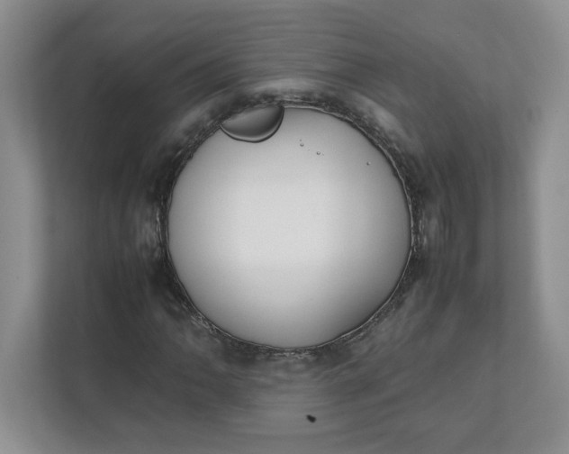 X0000112041062200908171506