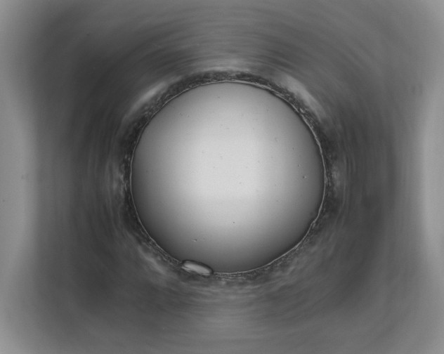 X0000112041064200908171506