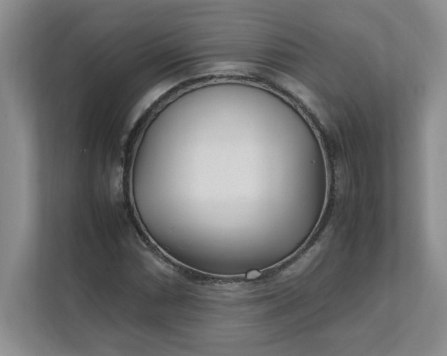 X0000112041066200908171506