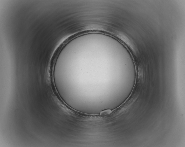 X0000112041068200908171506