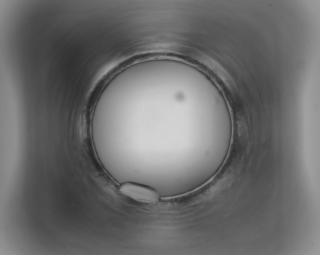 X0000112041069200908171506