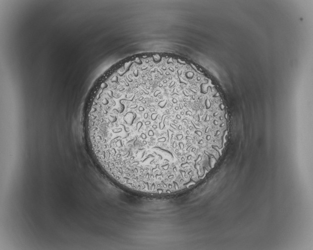X0000112041071200908171506
