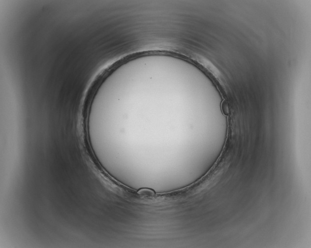X0000112041072200908171506