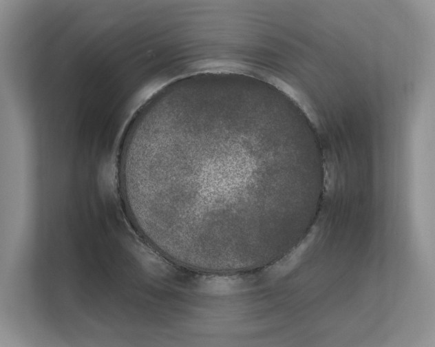 X0000112041074200908171506