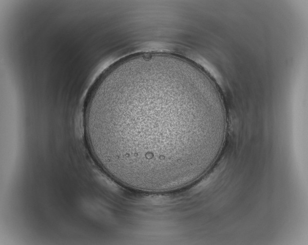 X0000112041075200908171506