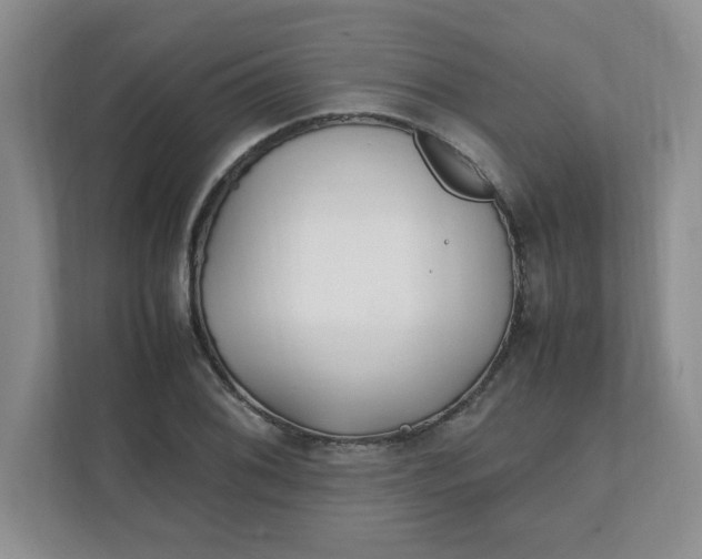 X0000112041076200908171506