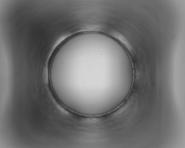 X0000112041079200908171506