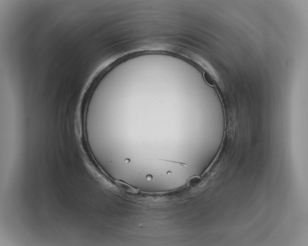 X0000112041080200908171506