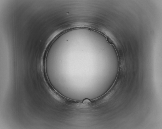 X0000112041082200908171506