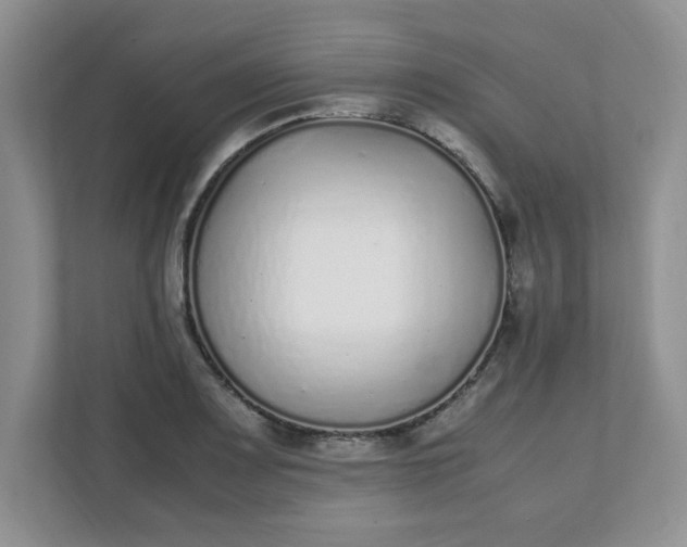 X0000112041083200908171506