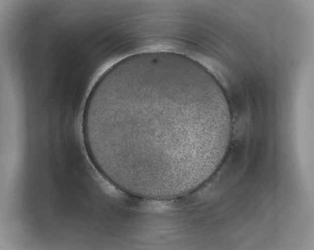 X0000112041086200908171506