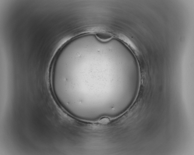 X0000112041087200908171506