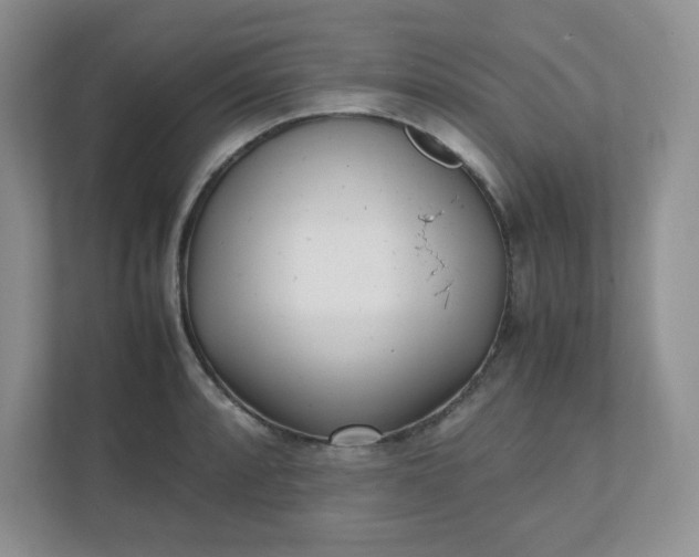 X0000112041088200908171506