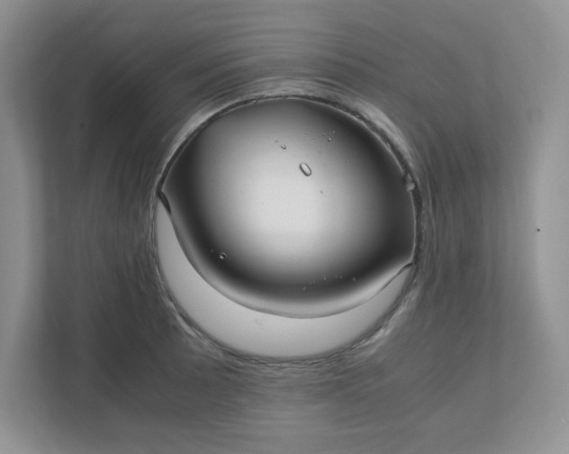 X0000112041089200908171506