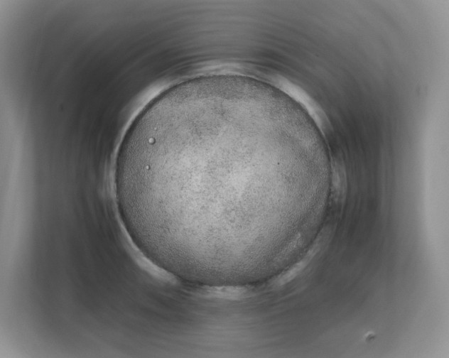 X0000112041090200908171506